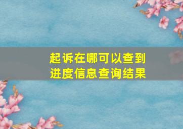 起诉在哪可以查到进度信息查询结果