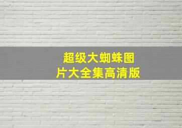 超级大蜘蛛图片大全集高清版