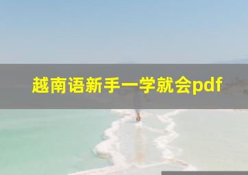 越南语新手一学就会pdf