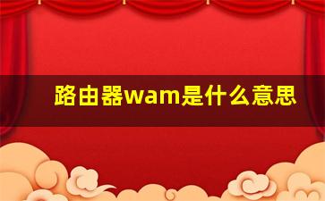 路由器wam是什么意思