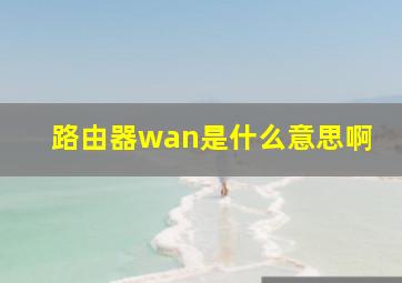 路由器wan是什么意思啊