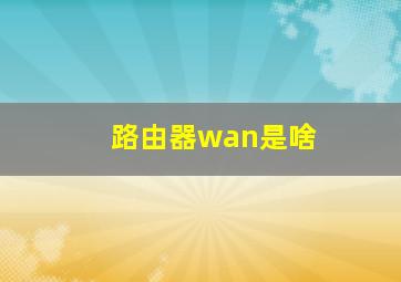 路由器wan是啥