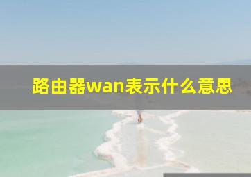 路由器wan表示什么意思