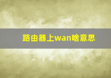 路由器上wan啥意思