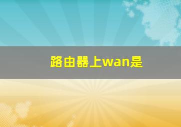 路由器上wan是