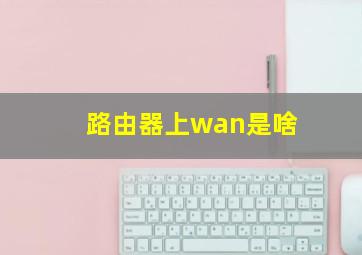 路由器上wan是啥