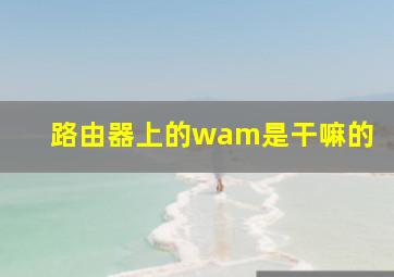 路由器上的wam是干嘛的