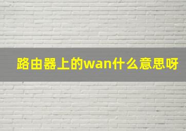 路由器上的wan什么意思呀