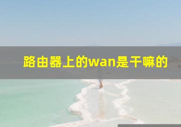 路由器上的wan是干嘛的