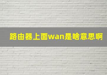 路由器上面wan是啥意思啊