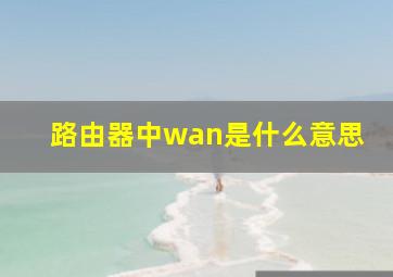 路由器中wan是什么意思