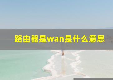 路由器是wan是什么意思