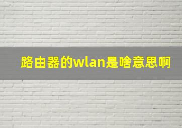 路由器的wlan是啥意思啊