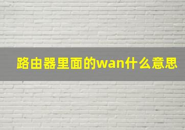 路由器里面的wan什么意思