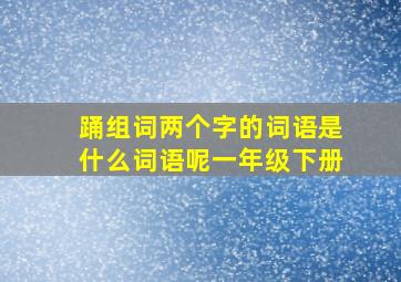 踊组词两个字的词语是什么词语呢一年级下册