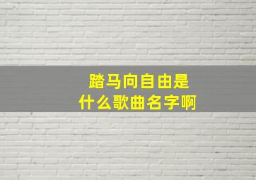 踏马向自由是什么歌曲名字啊