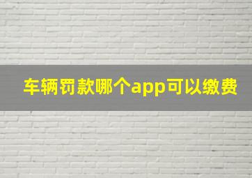 车辆罚款哪个app可以缴费