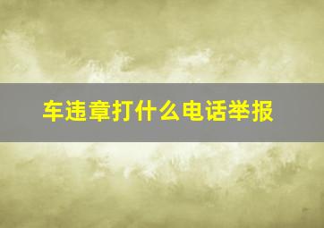 车违章打什么电话举报