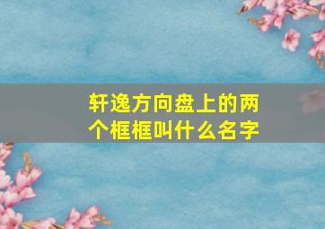 轩逸方向盘上的两个框框叫什么名字