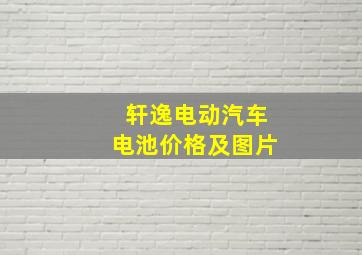 轩逸电动汽车电池价格及图片