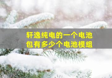 轩逸纯电的一个电池包有多少个电池模组