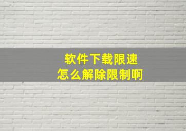 软件下载限速怎么解除限制啊