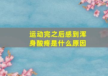 运动完之后感到浑身酸疼是什么原因