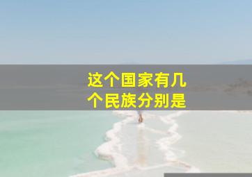 这个国家有几个民族分别是