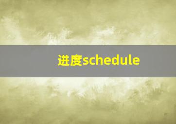 进度schedule