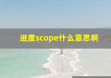 进度scope什么意思啊