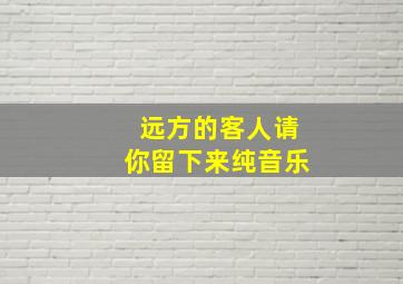 远方的客人请你留下来纯音乐