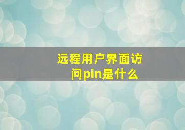 远程用户界面访问pin是什么