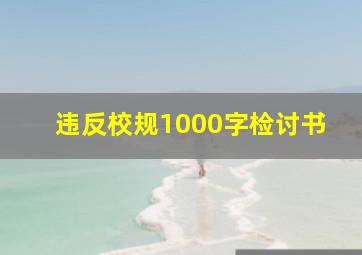 违反校规1000字检讨书