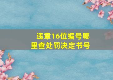 违章16位编号哪里查处罚决定书号