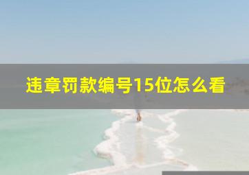 违章罚款编号15位怎么看