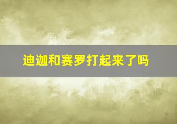 迪迦和赛罗打起来了吗