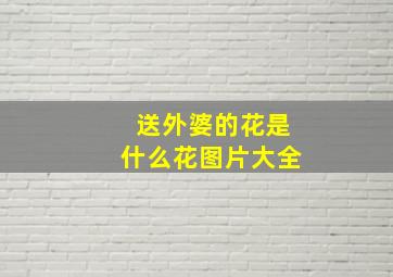 送外婆的花是什么花图片大全