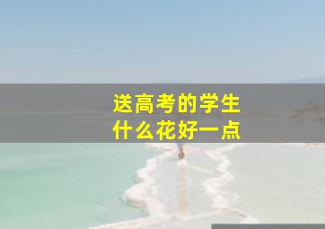 送高考的学生什么花好一点