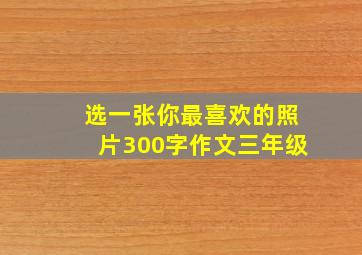 选一张你最喜欢的照片300字作文三年级