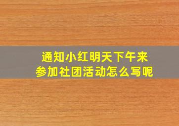 通知小红明天下午来参加社团活动怎么写呢