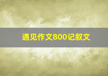 遇见作文800记叙文