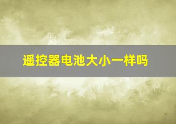 遥控器电池大小一样吗