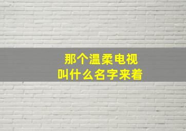 那个温柔电视叫什么名字来着