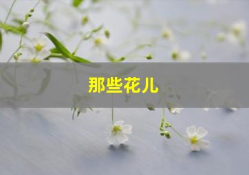 那些花儿