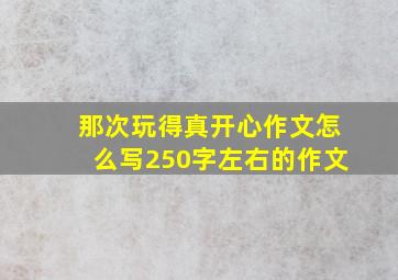 那次玩得真开心作文怎么写250字左右的作文