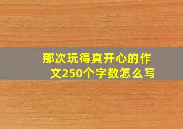 那次玩得真开心的作文250个字数怎么写