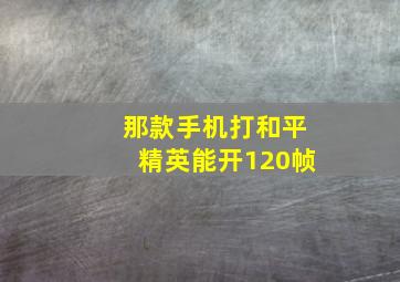 那款手机打和平精英能开120帧