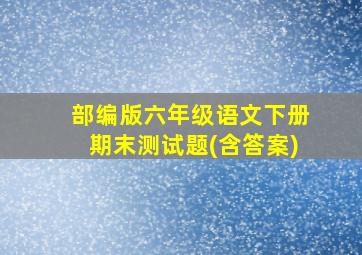 部编版六年级语文下册期末测试题(含答案)