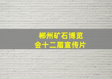 郴州矿石博览会十二届宣传片