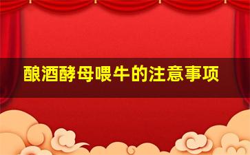 酿酒酵母喂牛的注意事项